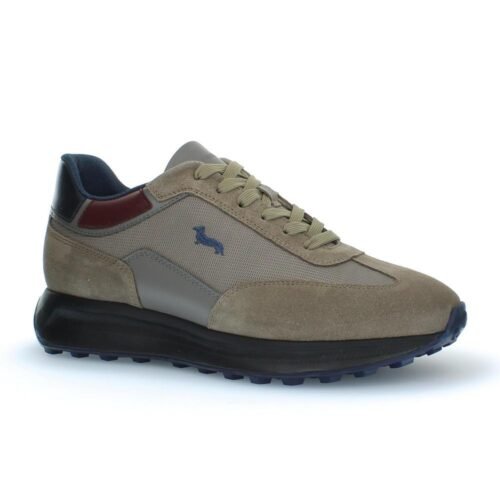 Scarpa Harmont & Blaine camoscio tex Fabric