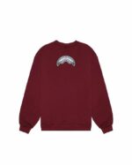 SPRAYGROUND - FELPA UOMO SP805GBRDX LIGHTNING SHARK CREWNECK BORDEAUX